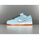 TOP BATCH Nike SB Dunk Low Pro "Blue Chill" BQ6817-401 