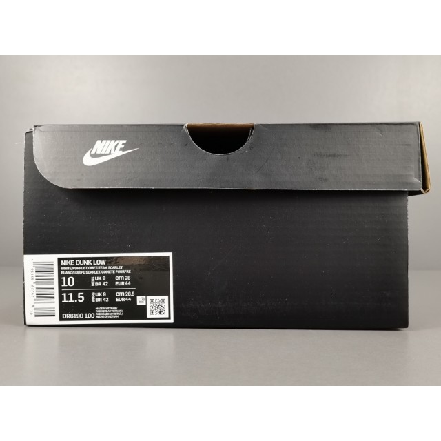 TOP BATCH Nike Dunk Low TSU DR6190 100