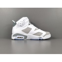 GOD BATCH Air Jordan 6 Retro "Cool Grey" CT8529 100