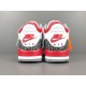 X BATCH Air Jordan 3 Fire Red DN3707 160