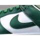 PK BATCH Nike Dunk Low Retro "Varsity Green" DD1391 101