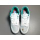 GOD BATCH Nike Dunk Low "lce" DO2326-001