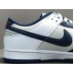 GOD BATCH Nike Dunk Low "Brookly Nets" DD3363 001