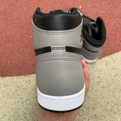 LJR BATCH Air Jordan 1 Shadow 555088 013