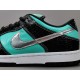 GOD BATCH Nike Dunk Low Pro SB Tiffany 304292 402