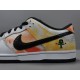 GOD BATCH Nike Dunk Low Pro SB Raygun White 304292 802