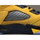 GOD Batch Men's Air Jordan 5 SP Michigan AJ5 CQ9541 704