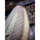 H12 Batch Unisex Adidas Yeezy 350 Boost V2 Citrin FW3042