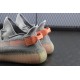 PK BASF Batch Unisex Adidas Yeezy Boost 350 V2 "True Form" EG7492