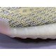 X Batch Unisex Adidas Yeezy Boost 350 V2 "ANTLIA" FV3250